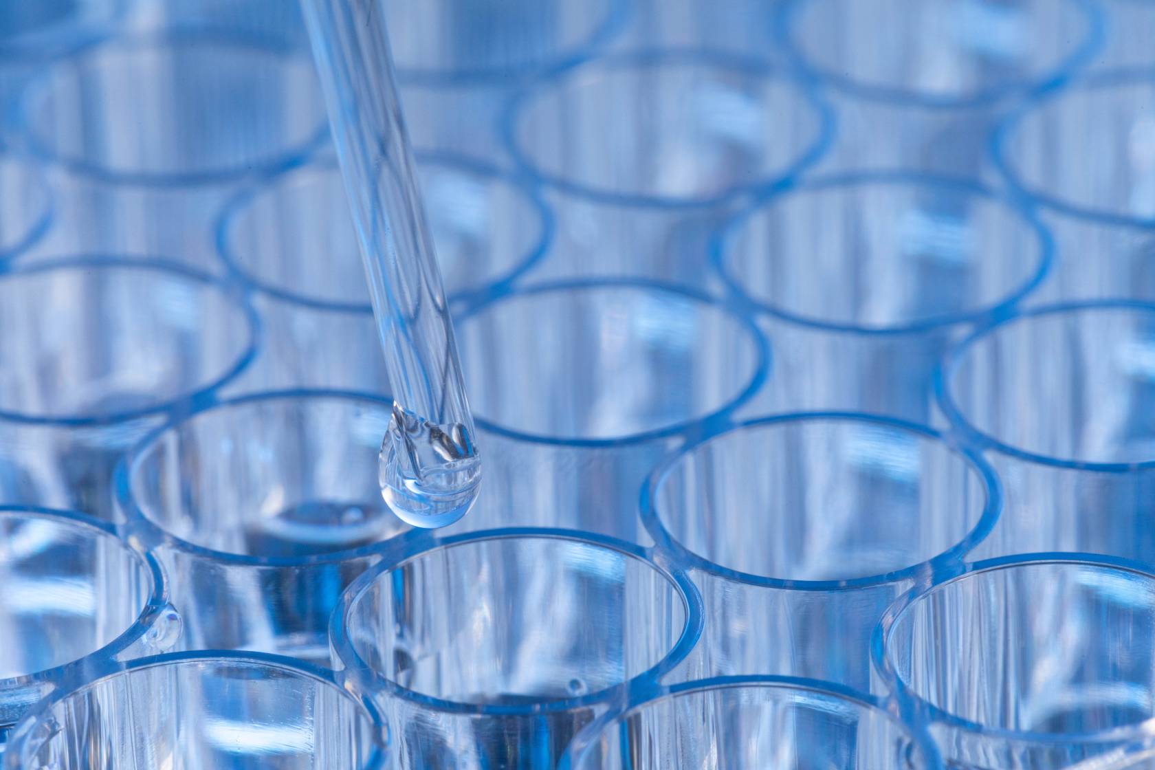 eb病毒感染与鼻咽癌