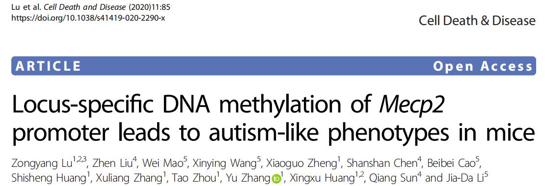 文献解读-甲基化编辑：Mecp2 启动子的甲基化导致小鼠自闭