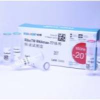 Ribo™ T7 mRNA转录试剂盒