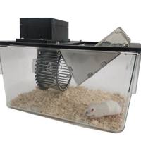 转轮节律分析系统