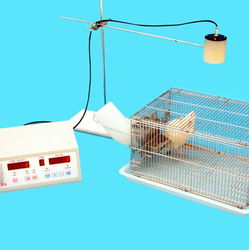 小动物活动记录仪