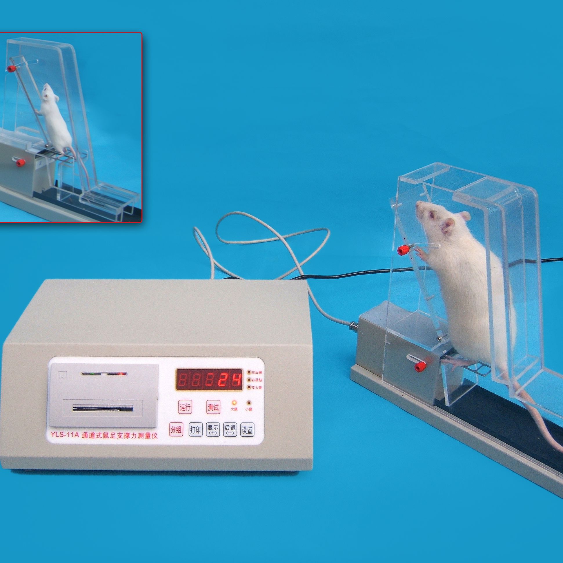 大小鼠足支撑力测量仪 小动物足底支撑力测量仪