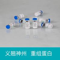 GMP级白介素IL15重组蛋白