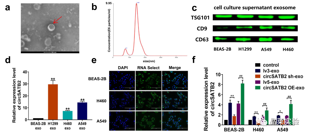 技术资料图片12