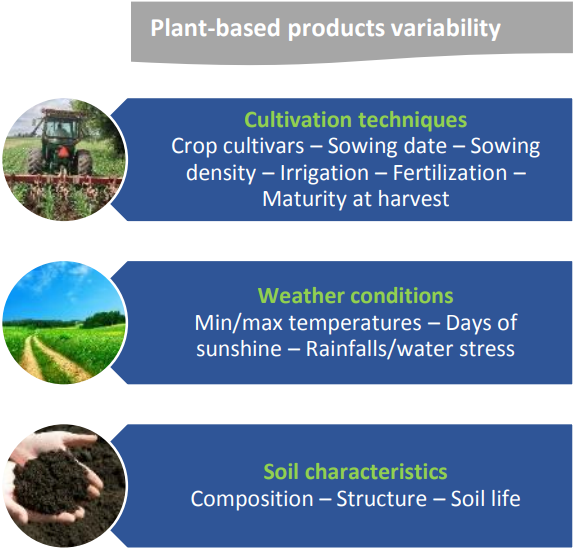 【知乎】“油”的广泛药用领域——植物油篇①