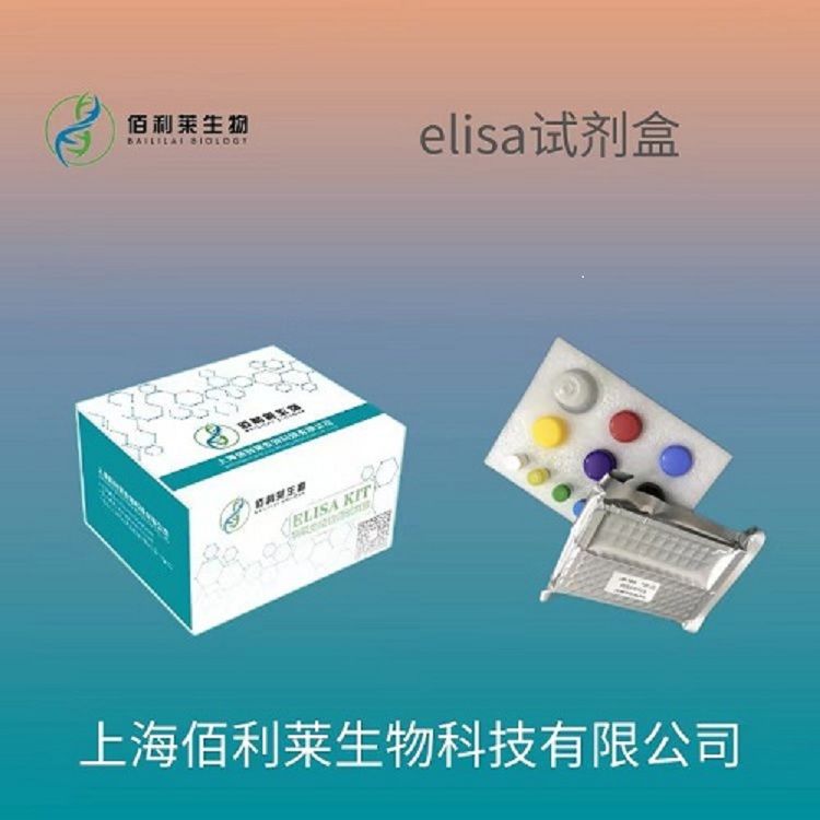 猪脑钠素/脑钠尿肽(BNP)ELISA Kit