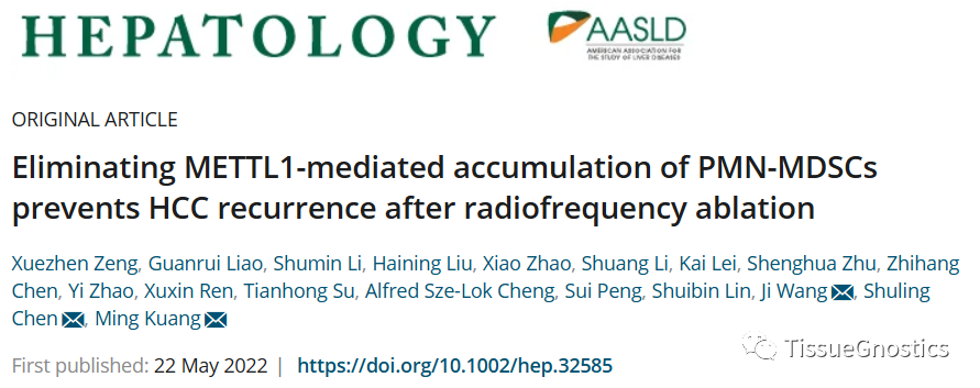 Hepatology|中山大学附属第一医院匡铭教授团队揭示肝细胞癌射频消融后复发潜在机制