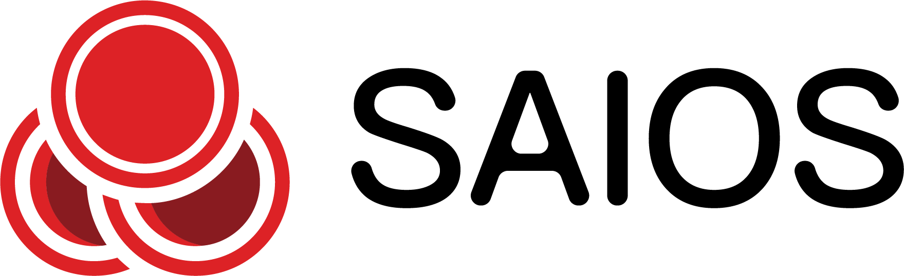 兔原代嗅鞘细胞