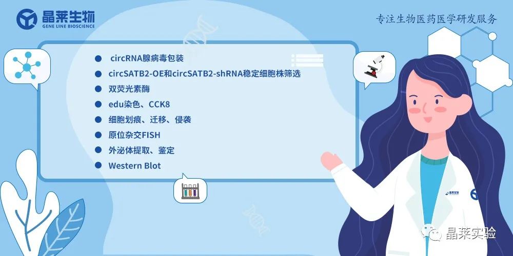 技术资料图片16