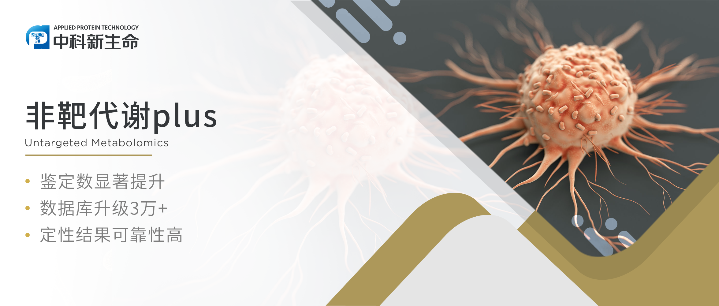 项目文章NC（IF 17.7）| 天津医科大学王霆/余秋景研究团队揭示叶酸循环酶MTHFD2诱导肿瘤免疫逃逸的分子机制