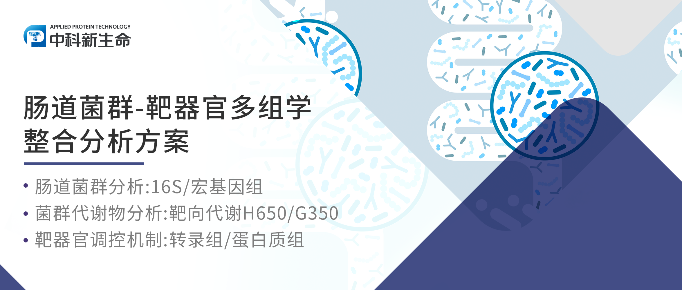 项目文章 | 南昌大学万翠香老师团队利用16S+代谢联合解析益生菌缓解结肠炎新机制