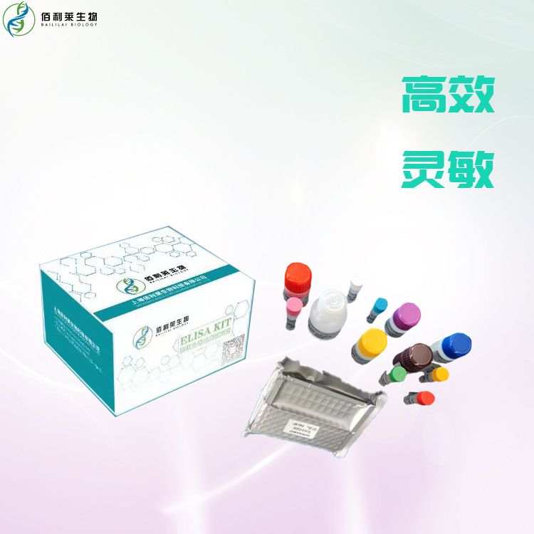 大鼠环磷酸腺苷(cAMP)ELISA Kit