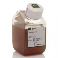 Gibco猪血清 26250084