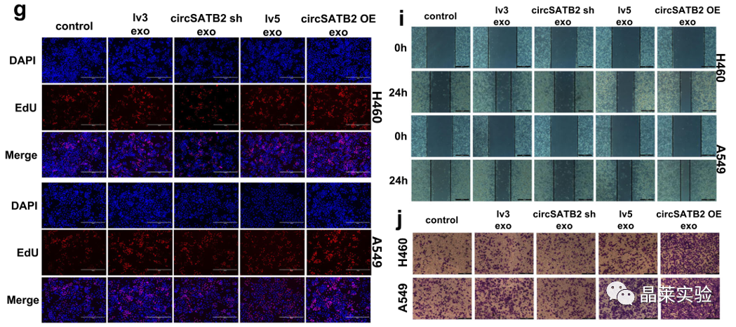 技术资料图片13