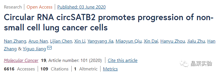 国自然热点circRNA研究之 “环状RNAcircSATB2促进非小细胞肺癌的发展”
