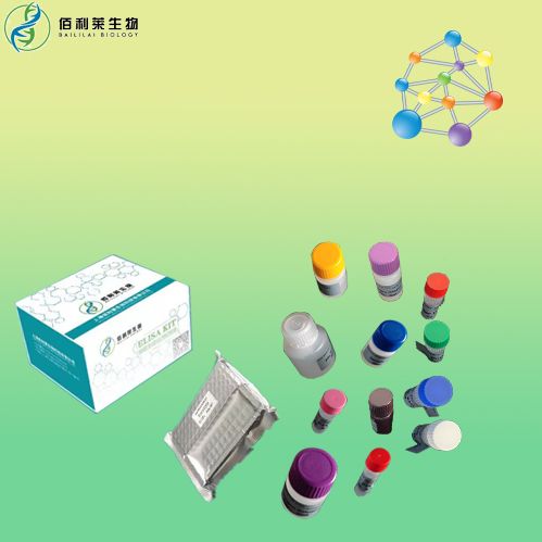 人CD163分子(CD163)elisa试剂盒