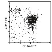 CD56+CD16+ NK Cell Isolation K
