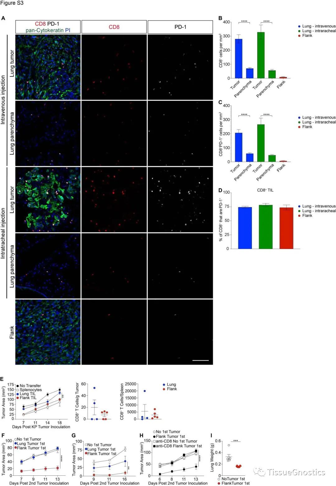 Science子刊|TissueFAXS Cytometery技术&新型细胞因子疗法为肿瘤免疫治疗带来希望