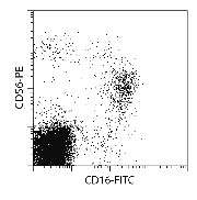 CD56+CD16- NK Cell Isolation K