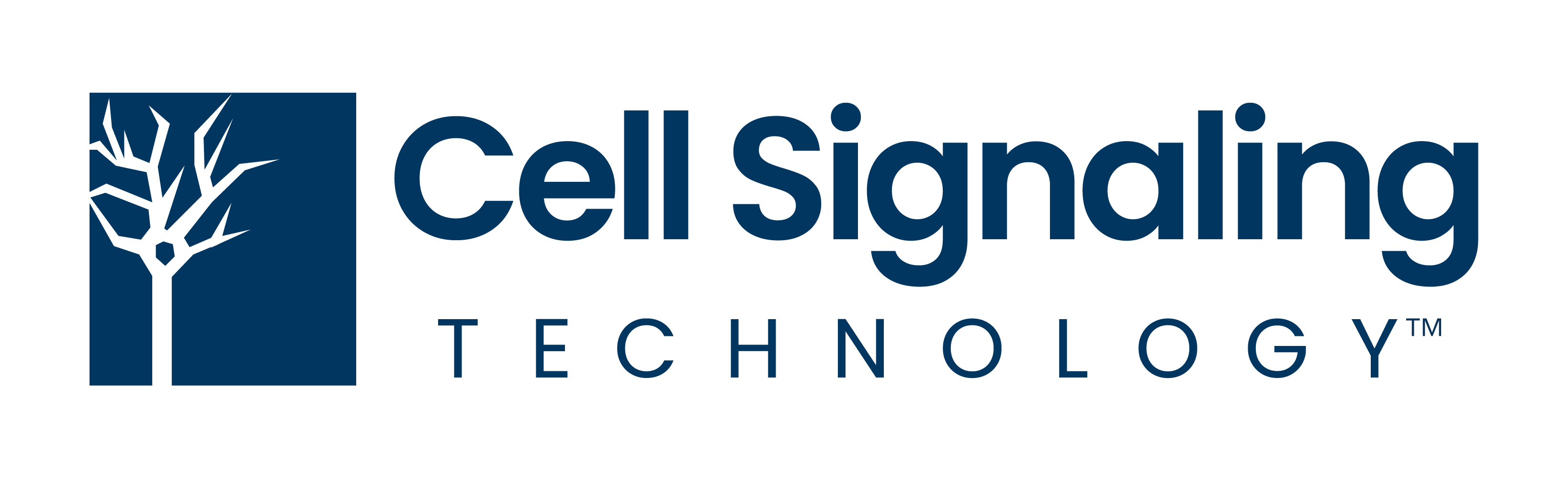 FastScan™ Total BRG1 ELISA Kit