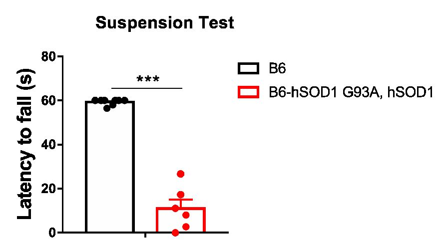 渐冻症新药破茧成蝶终获批——集萃小鼠用爱为生命“解冻”