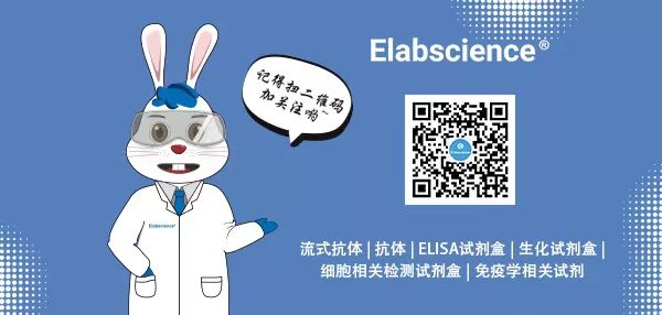 Elabscience_铜死亡试剂盒秒杀福利