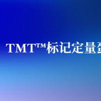 TMT（30级）标记定量蛋白质组学