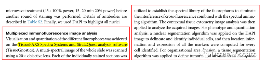 山东大学基础医学院马春红教授团队全新空间角度描绘Tim-3肿瘤免疫治疗策略新思路
