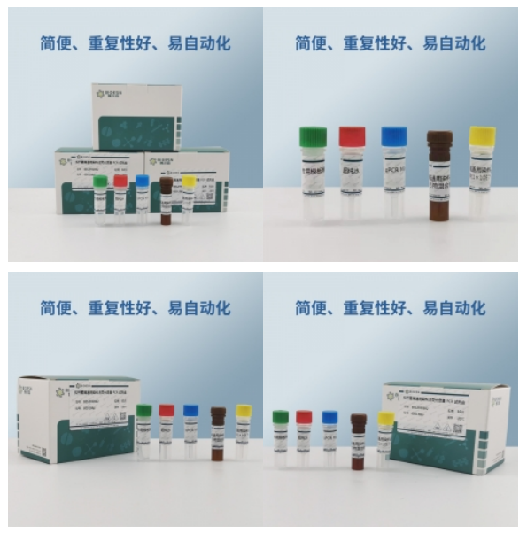 犬细小病毒探针法荧光定量PCR试剂盒