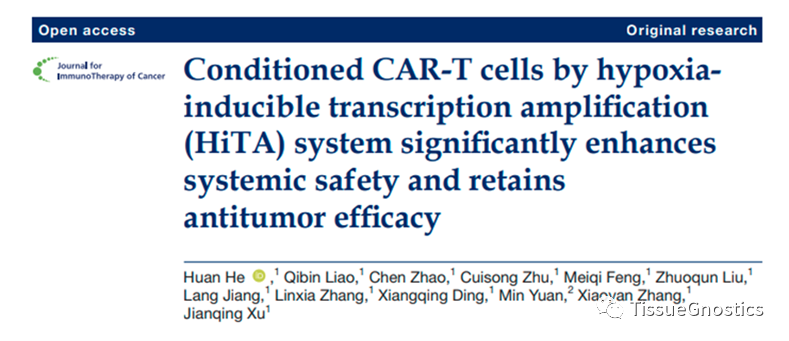 J Immunother Cancer| 低氧诱导的HiTA-CAR-T可能成为新一代的多类型肿瘤"杀手"