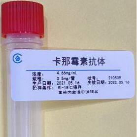 卡那霉素抗体