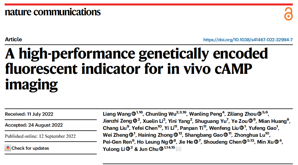 Nature Communications | 荧光探针新突破！储军课题组开发出新型高性能基因编码的cAMP荧光探针