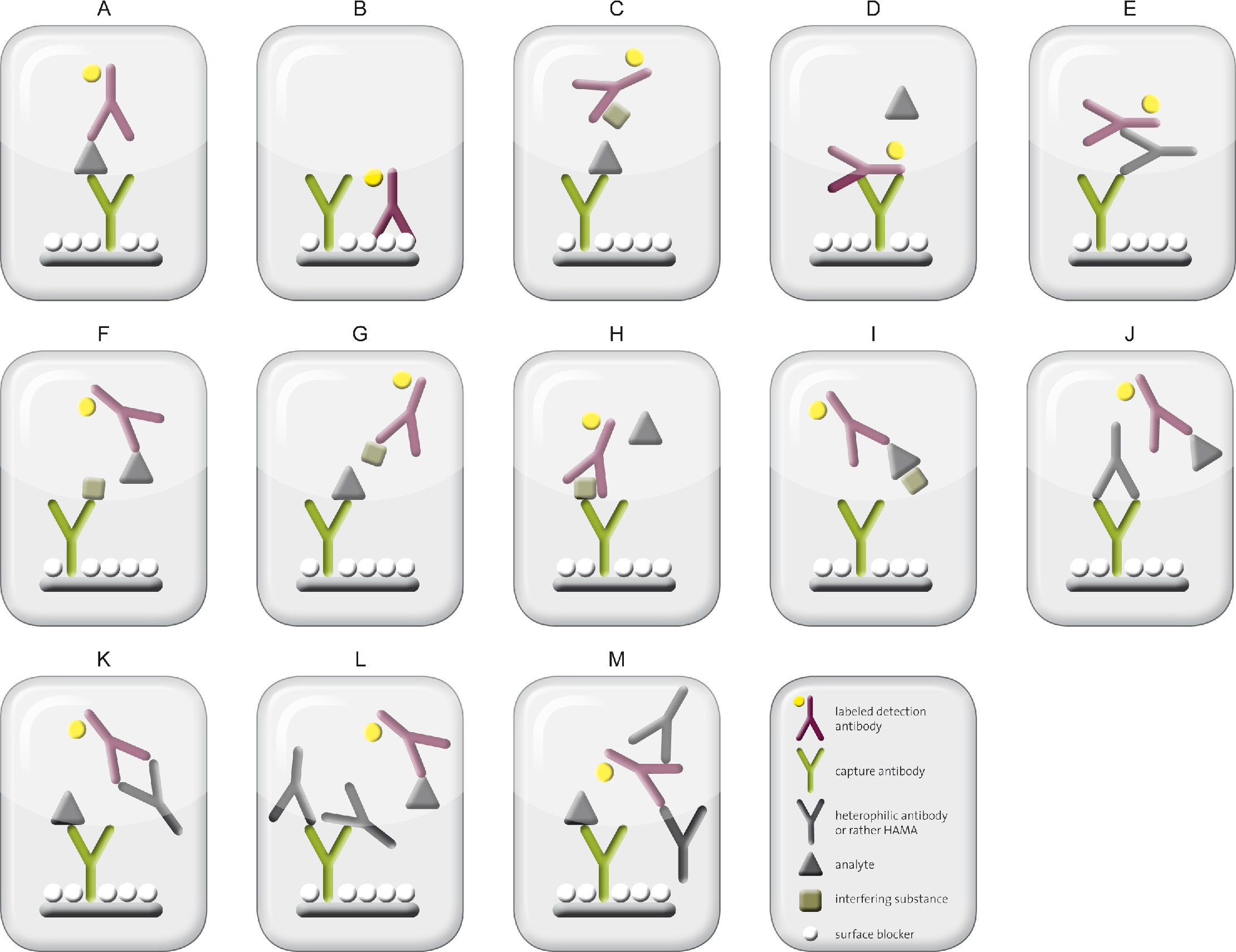 免疫分析中的干扰简要概述