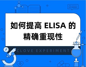 丁香实验推荐阅读