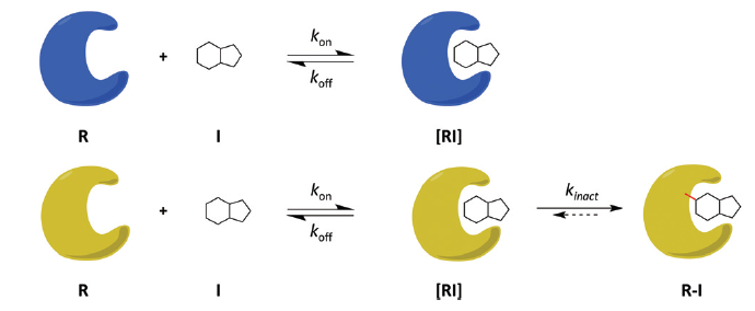 选对共价库，您就是科研的佼佼者
