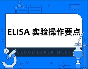丁香实验推荐阅读