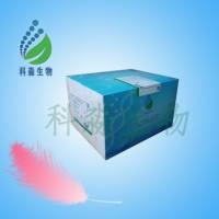 Recombinant Human Angiotensin-converting enzyme 2 (ACE2)