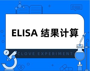 丁香实验推荐阅读