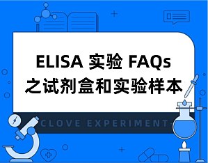 丁香实验推荐阅读