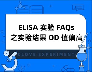丁香实验推荐阅读