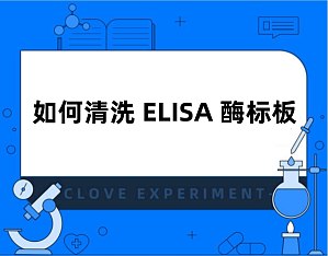 丁香实验推荐阅读