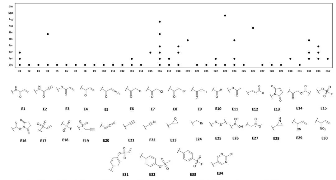 选对共价库,您就是科研的佼佼者