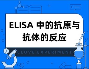 丁香实验推荐阅读