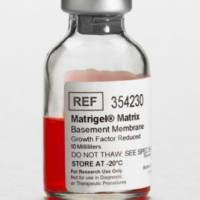 康宁Matrigel 基质胶 354230