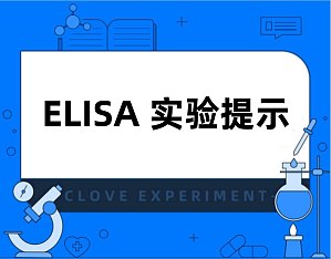 丁香实验推荐阅读