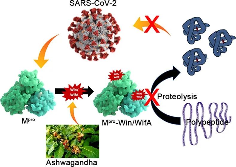 选对共价库,您就是科研的佼佼者