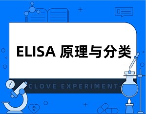 丁香实验推荐阅读