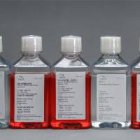 完全DMEM/F12培养基(含新生牛血清,双抗)KGL1203-500