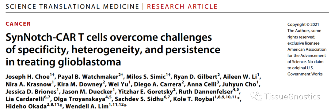 CAR-T实体瘤治疗挑战重重，TissueFAXS Cytometry技术如何助力？