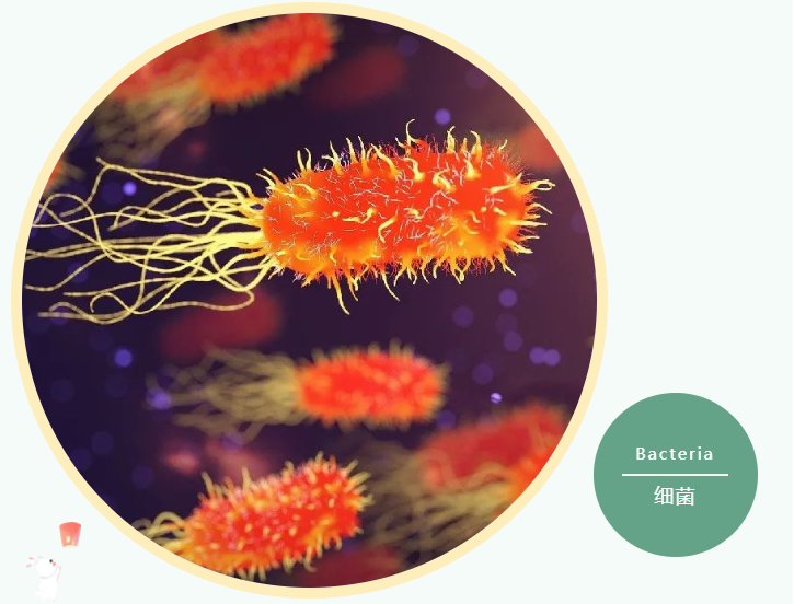 防腐抑菌剂中的温柔选手在这里！